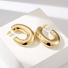 Load image into Gallery viewer, LARGE AESTHETIC EARRINGS

