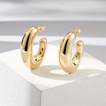 Load image into Gallery viewer, LARGE AESTHETIC EARRINGS
