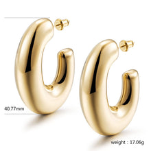 Load image into Gallery viewer, LARGE AESTHETIC EARRINGS
